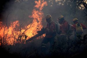 Após agosto recorde, área queimada em setembro no Brasil quase dobrou