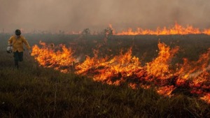 Brasil tem 994 focos de incêndio, quase metade na Amazônia