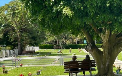 Saúde mental e luto contemporâneo: os impactos emocionais das perdas invisíveis